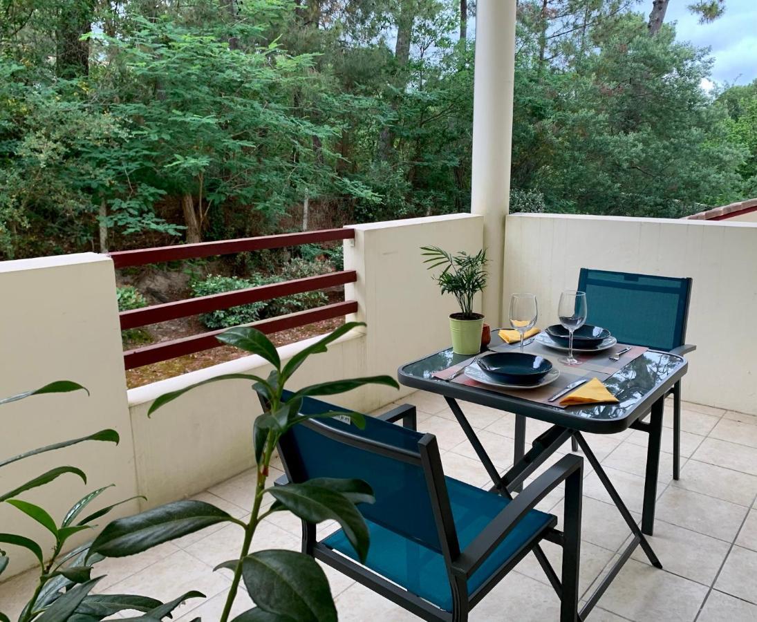 A Cote Du Avec Terrasse * Soorts-Hossegor